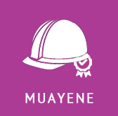 Muayene